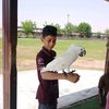 adanjaved46