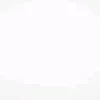 adam.ffm0