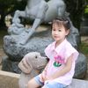 799thanhhang