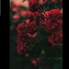 zainab99666
