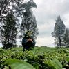 ratnakhairunisa16
