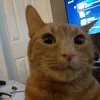 sklepmonopolowy6