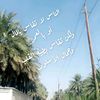 ammohmmed40