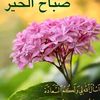 user3150379740865