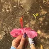 janainasilva2196