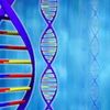 the_recombinant