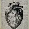 aminemed_m