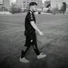 raulp_040