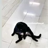 k1nderjajee67
