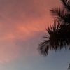elizabethkennedy846