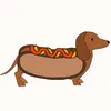 wienerdog63