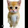 winniethep9