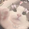 shelovesxats_4ever