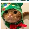 christinemaefranc