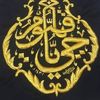 shahlamahmood876