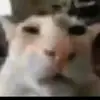 .username1222