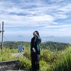 virantigerung