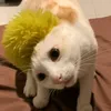 alibootingbalabong