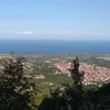 ridfaone
