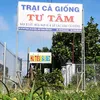 trai_cagiong_tu_tam