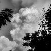 maryam_lohar