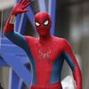 spidervegeta
