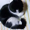 miztarou