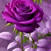 user19650297001715