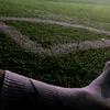 ronald.js7