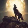 f_r_o_65