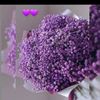 sahra_54