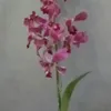 dymwj62rot8o