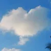 chinne_136