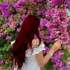seda.priw12