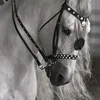 al_maha57