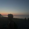 chase_8280