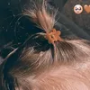hajarelhbaid