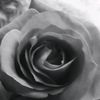 s.__2012__019