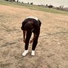 xolanimotha25