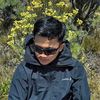 mass_herrr