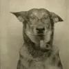 jozzu00