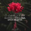 oum_elbenine