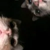 itzmelinatime