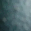 gybot