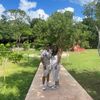 jeyson_made