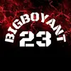 bigboyant23