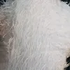 alla_akbar52