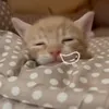 minhanhthoiii_