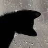 pttnguyn_134