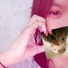 nalll_qp